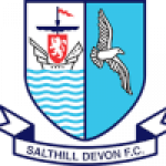 Salthill Devon