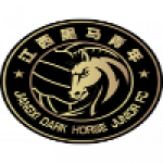 Jiangxi Dark Horse Junior Fc