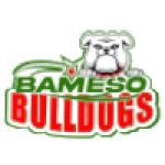 Bameso Bulldogs U22