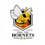 Eng Tat Hornets