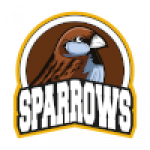 Sparrows Moscow