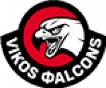 Vikos Falcons Ioannina BC