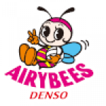 Denso Airybees (Women)