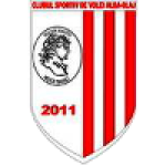 Csm Volei Alba Blaj