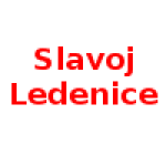 TJ Slavoj Ledenice (w)
