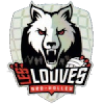 Saint-Die Des-Vosges (w)