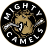 Mighty Camels