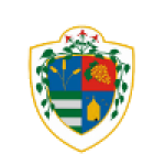 Dunaharaszti II
