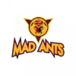 Mad Ants