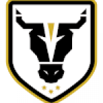 Bulls FC Academy (Corners)