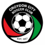 Croydon City Arrows
