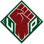 UP Fighting Maroons