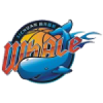 Sichuan Whale U21