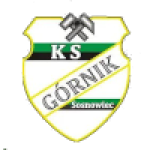 Gornik Sosnowiec