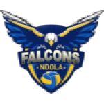 Falcons