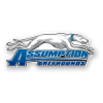 Assumption Greyhounds (Women)