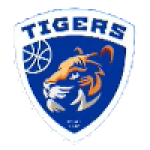 Tigers