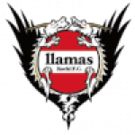 Llamas Kochi