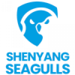 Shenyang Seagulls