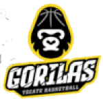 Gorilas Tecate