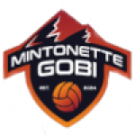 Mintonette Gobi VC (w)