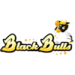Hida Takayama Blackbulls Gifu (w)