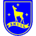 Ski