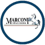 Marconi Stallions U23 (Women)
