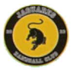Jaguares