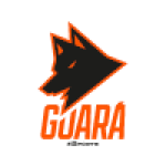 Guara eSports