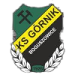 Gornik Boguszowice U19
