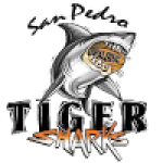 San Pedro Tiger Sharks