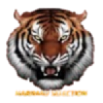 Harimau Selection U20