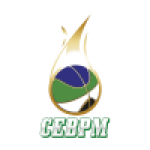 CEB Puerto Montt U21