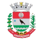 ACEL Chopinzinho PR (w)