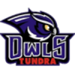 Tundra Owls