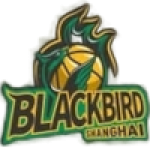 Shanghai Blackbird