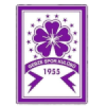 Guzide Gebzespor U19