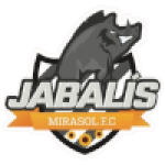 Jabalis Mirasol