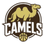 IPBL Camels