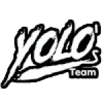 YOLOS Team