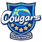 Hitachi Cougars (Women)