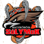 Nagykorosi SKE