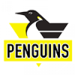 Penguins Team