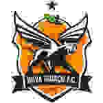 Nova Iguacu FC RJ