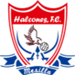 Club Social Y Deportivo Los Halcones