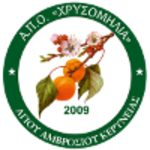 AMOK Chrysomilia (Women)