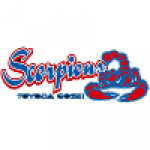 Toyoda Gosei Scorpions