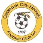 Cessnock City Hornets