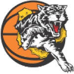 Willetton Tigers (w)